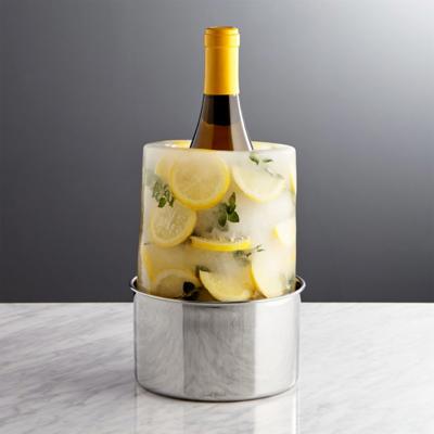 Ice Mold/Wine Bottle Chiller + Reviews | Crate & Barrel