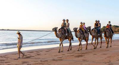 Guided Camel Ride Across Mindil Beach - 45 Minutes
