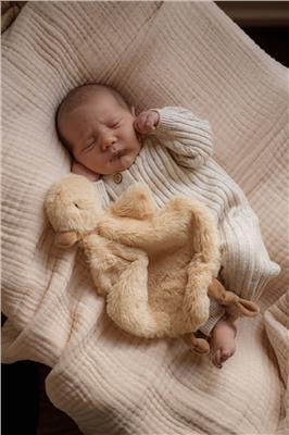 Quacks the Comforter Toy – Pop Ya Tot