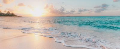 Macie Arambula & Austin Bryants Wedding Website - Honeyfund