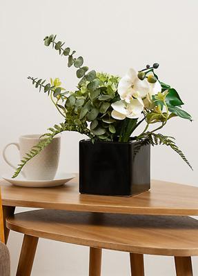 Scottish Everlastings Ltd 43cm Mixed Floral Arrangement | Freemans