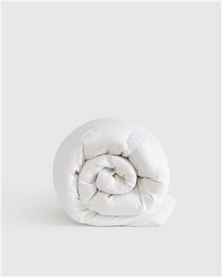 Premium Down Comforter | Quince in Down