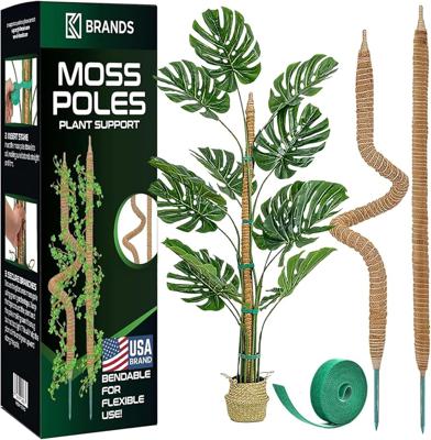 Amazon.com : 2 Pack 28 Bendable Moss Pole Monstera Plant Support for Climbing Indoor Plants - Stakes for Potted Climbers - Tall Sticks Indoor Trelli