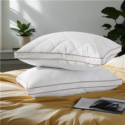 Medium-Firm 2-inch Gusset Feather and Down Pillows Set of 2