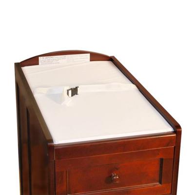 Alwyn Home Sunnyside Daphne Change Pad  - Wayfair Canada