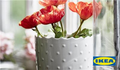 IKEA Gift Card (Any amount you want)