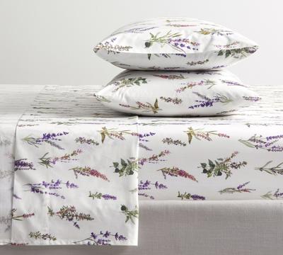 Monique Lhuillier Provence Percale Sheet Set | Pottery Barn