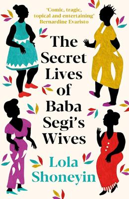 The Secret Lives of Baba Segis Wives : Shoneyin, Lola: Amazon.co.za: Books