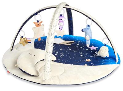 Skip Hop Celestial Dreams Activity Gym