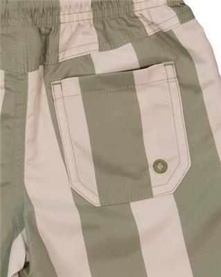 Medium Green Toddler Boys Volley Short | Best&Less™ Online