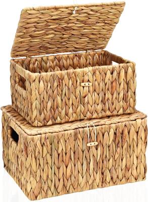 Amazon.com: FairyHaus Wicker Storage Baskets with Lids, Set of 2, Natural Water Hyacinth, Rectangular, Large 13x10x7 & Small 11.2x8.3x5.7 : Home