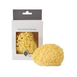 Kyte Babys - Natural Sea Sponge | West Coast Kids
