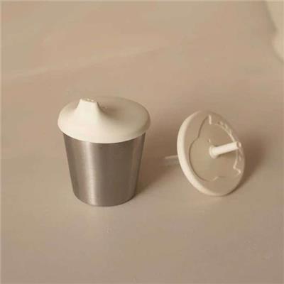 Micasso - Stainless Steel 2-in-1 Cup with Straw and Spout | West Coast Kids