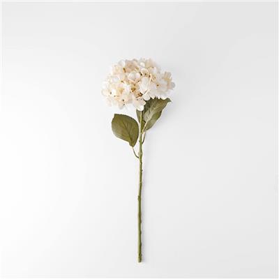 Shop Hydrangea Stem - Cream Online | Bed Bath NTable
