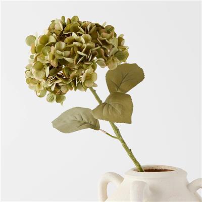 Shop Hydrangea Stem Green Online | Bed Bath N Table