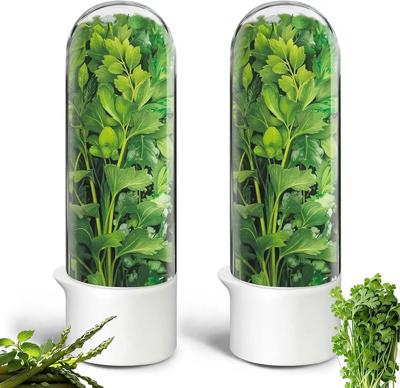 Amazon.com: Rkssws Herb Saver for Refrigerator, Cilantro Container for Fridge, Fresh Herbs Lettuce Keeper for Refrigerator Parsley Mint Leaves Fresh H