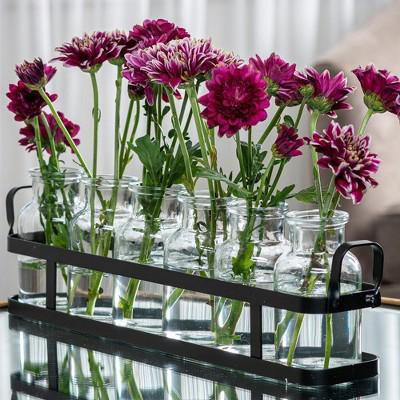 Leraze 6pc Glass Flower Vase with Metal Holder : Target