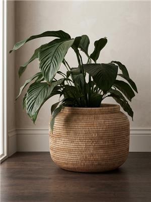 Maldon Rattan Planter - Natural