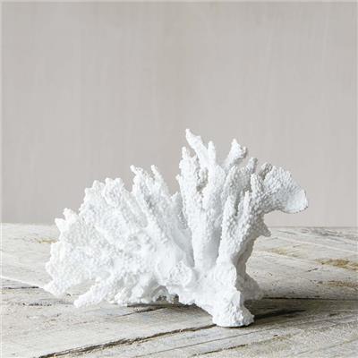 White Ceramic Coral | Graham & Green