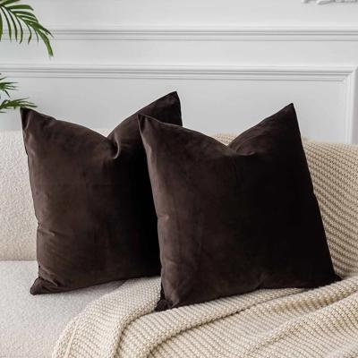 Amazon.com: JUSPURBET Throw Pillow Covers Set of 2 Decorative 22x22 Velvet Pillow Covers for Couch Sofa Bed Soft Cushion Covers Cases with Invisible Z