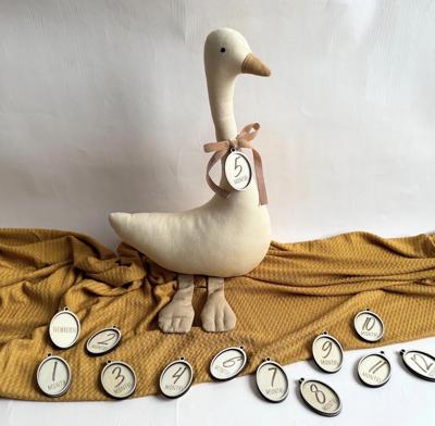 Baby Milestone Marker Boy and Girl Growth Tracker Plush Animal Toy Newborn Photoshoot Prop Goose Theme Nursery Decor Milestone Baby Sign - Etsy