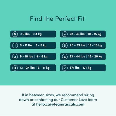 Rascals Premium Absorbent Baby Diapers, Size 3, Carton, 136 Count - Walmart.ca