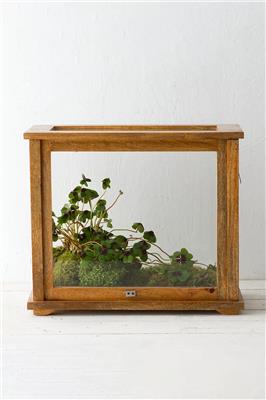 Specimen Case Terrarium | Terrain