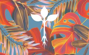 Toast EGiftCards (Roots, Brambly etc)