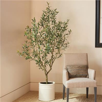 Artificial 6.5ft Olive Tree in French Crock Planter | Cos...