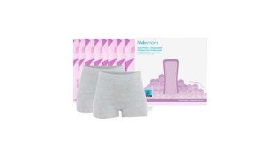 Frida Mom Instant Ice Maxi Pads & Underwear | Baby Bunting AU