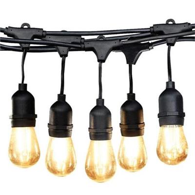 Lighting Outdoor LED Festoon Vintage 10 Blub String Lights 5M | Shop Today. Get it Tomorrow! | takealot.com