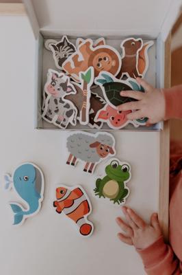 MagPlay Animal Magnet Kit