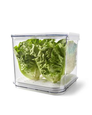 2.5L Fridge Storage - Clear and White - Kmart