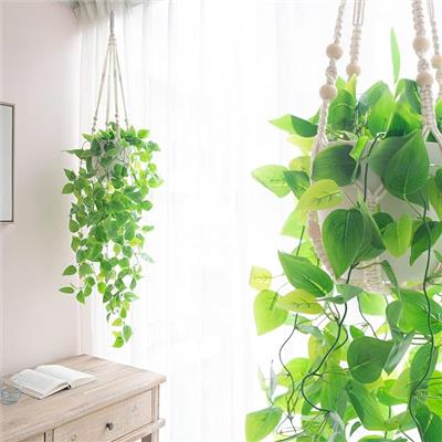 Amazon.com: Mkono 2 Packs Fake Hanging Plant with Pot, Artificial Plants Macrame Plant Hanger Fake Vine Greenery for Bedroom Bathroom Home Office Deco
