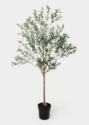 6ft Artificial Olive Tree | Blooming Artificial | M&S