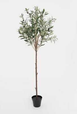4.5ft Artificial Mediterranean Olive Tree | Blooming Artificial | M&S