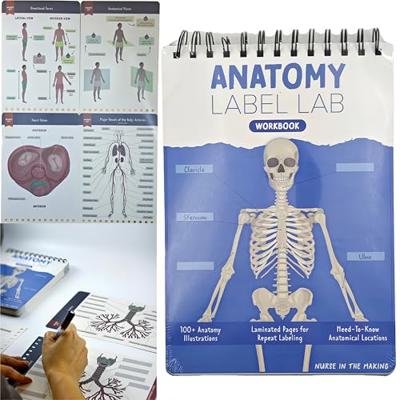 HHJTXWD 93+ Full-Color Dry-Erase Pages, Interactive Anatomy Illustrations, Creative Human Anatomy Busy Book, Full-Color Dry-Erase Pages, Creative Educ