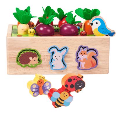 Garden Shape Sorter | Wooden Shape Sorting Baby Toys | Jaques of London