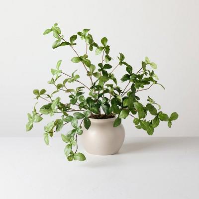 Large Green Gypsophila Artificial Plant - Hearth & Hand™ with Magnolia : Target