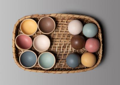 Birch Colour Sorting Set
 – birchandbug