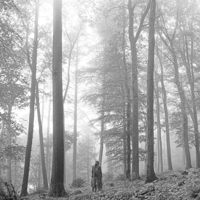 folklore (In The Trees Edition) - JB Hi-Fi