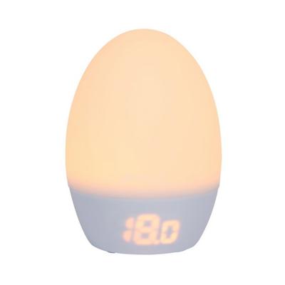 Buy Tommee Tippee Groegg Digital Thermometer & Nightlight | Baby health accessories | Argos