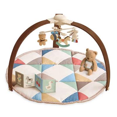 Music & Motion Activity Gym