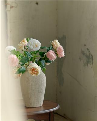 Austin Rose Stem | Magnolia