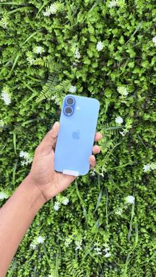 Winter Sale: iPhone 17 256GB Assorted Colours (CPO) – Apple Guy
