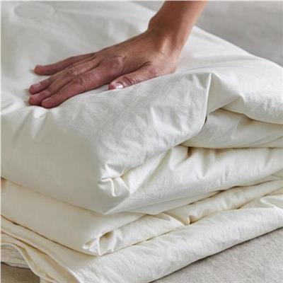 King/ California King Silk Comforter | Avocado Green Mattress®