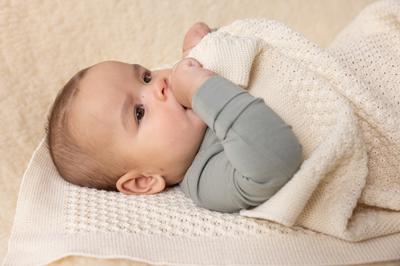 Honeycomb wool blanket – Bigelow Lane