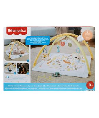 Fisher Price Simply Senses Newborn Gym | Target Australia