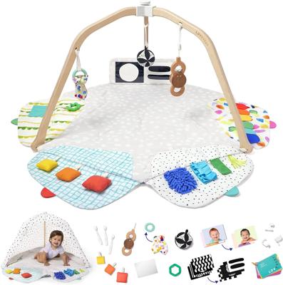 Amazon.com : Lovevery, The Play Gym, 5-Stage Baby Developmental for Full Year of Play : Baby