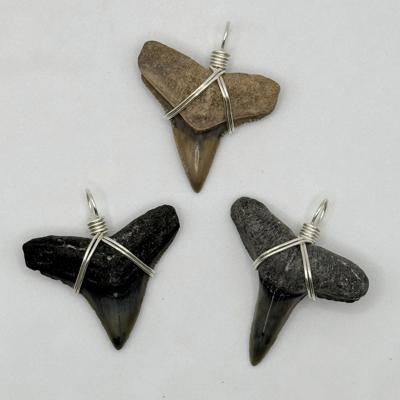 Wire Wrapped Fossilized Shark Tooth Pendant Wrapped in Silver Copper Wire - Etsy